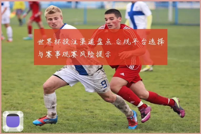 世界杯投注渠道盘点 合规平台选择与赛事观赛风险提示