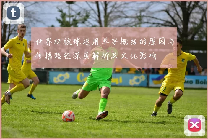 世界杯被球迷用单字概括的原因与传播路径深度解析及文化影响