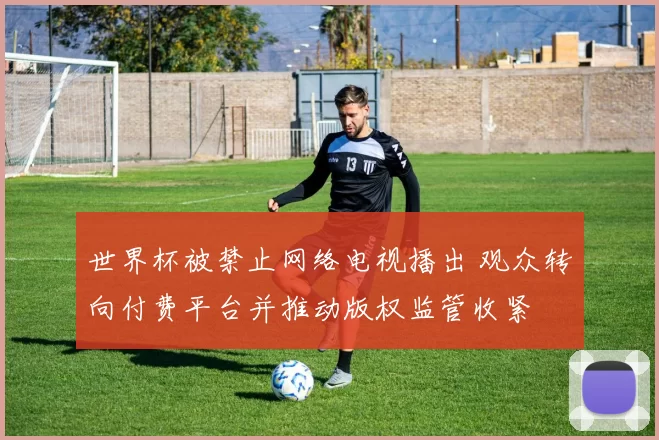 世界杯被禁止网络电视播出 观众转向付费平台并推动版权监管收紧