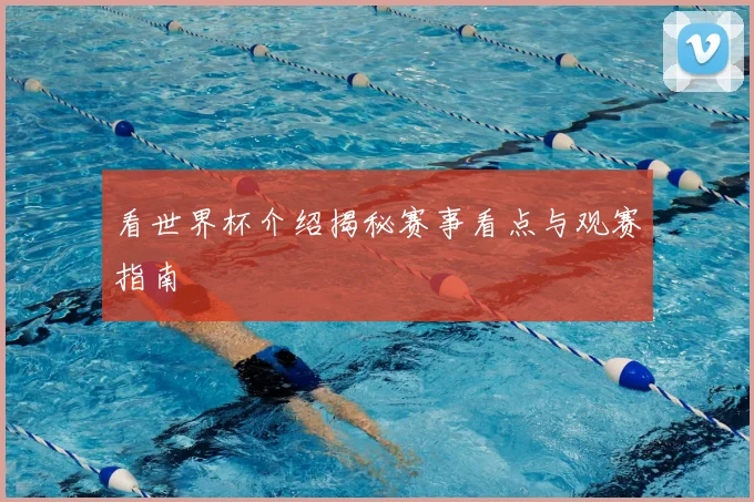 看世界杯介绍揭秘赛事看点与观赛指南