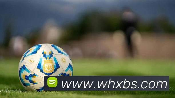 星空体育app登录入口 - 星空体育(中国)APP 封面图